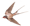  flightradar 